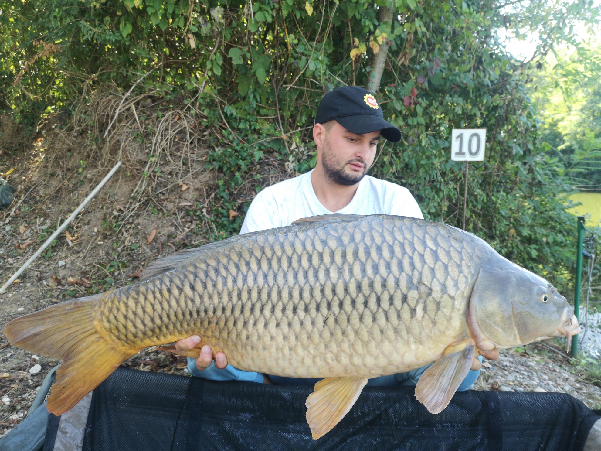 Jezero Žabar - img20190905130611.jpg